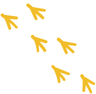 deco