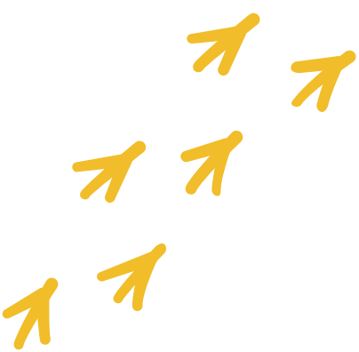 deco